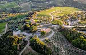 montalcino-vineyard-thumb